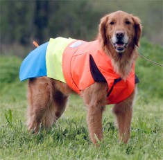 Search and Rescue Dog Coats