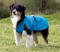 Straight Back Coat - Medium Dogs