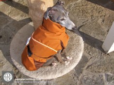 Round Back Coat - Small Dog
